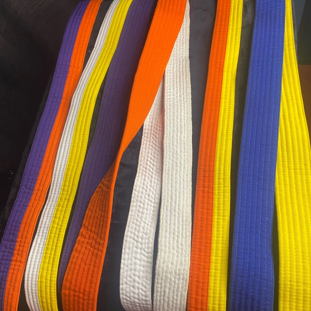 Colorful Martial Arts Belts Set